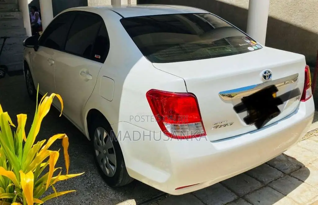 Toyota Axio 2014 Car (Used)
