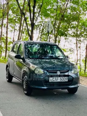 Suzuki Alto 2015 Car (Used)