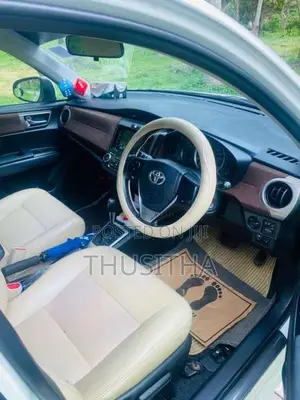 Toyota Axio 2013 Car (Used)