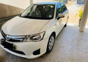 Toyota Axio 2014 Car (Used)