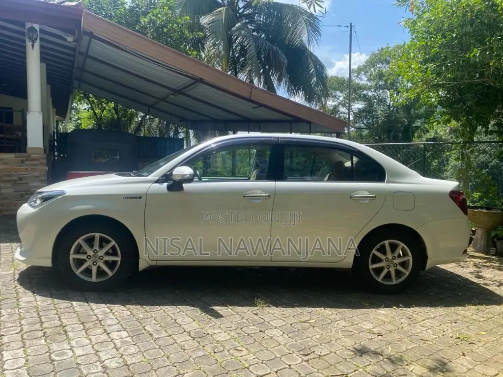 Toyota Axio 2015 Car (Used)