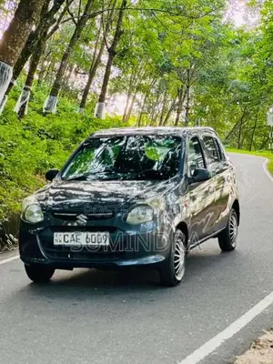 Suzuki Alto 2015 Car (Used)