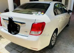 Toyota Axio 2014 Car (Used)