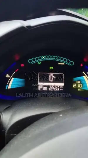 Nissan Leaf 2014 Car (Used)