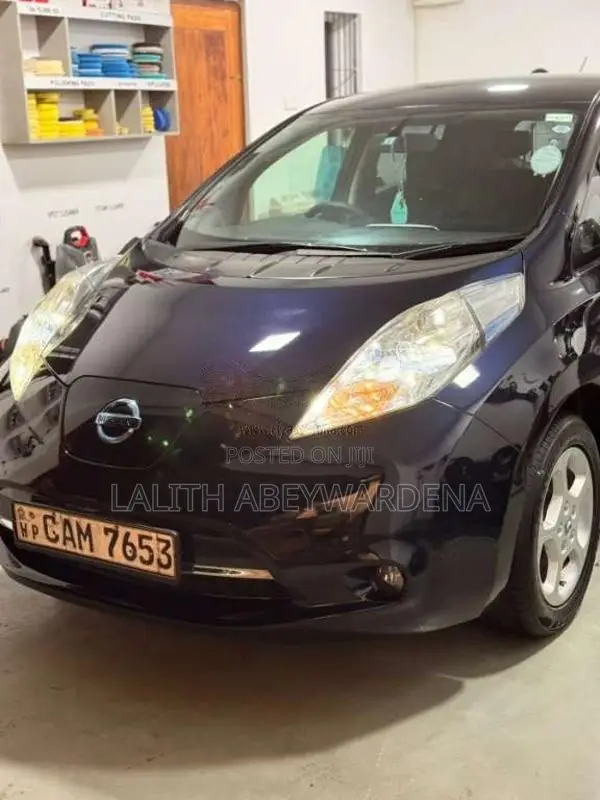 Nissan Leaf 2014 Car (Used)
