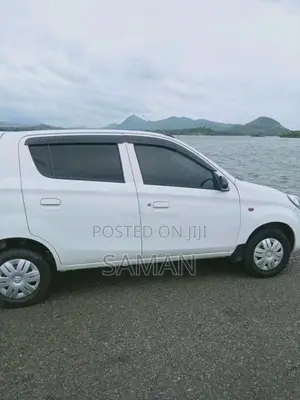 Suzuki AlTO 2014 Car (Used)