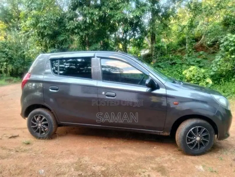Suzuki Alto 2015 Car (Used)