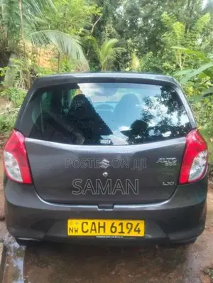 Suzuki Alto 2015 Car (Used)
