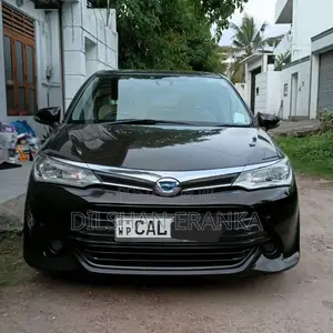 Toyota Axio 2015 Car (Used)