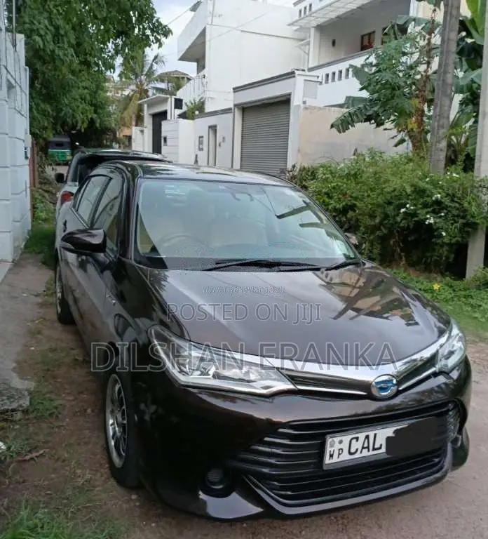 Toyota Axio 2015 Car (Used)
