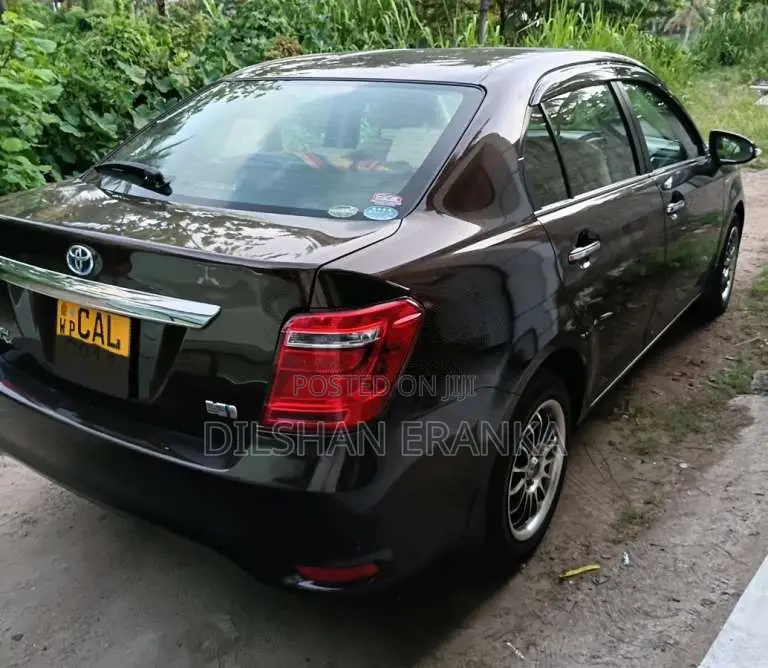 Toyota Axio 2015 Car (Used)