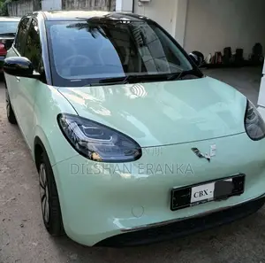 Wuling Binguo 2026 Car (Used)