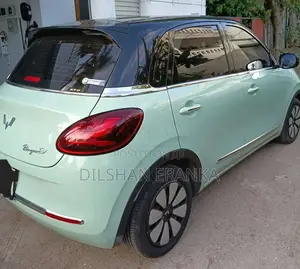 Wuling Binguo 2026 Car (Used)
