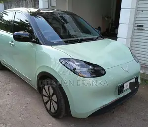 Wuling Binguo 2026 Car (Used)