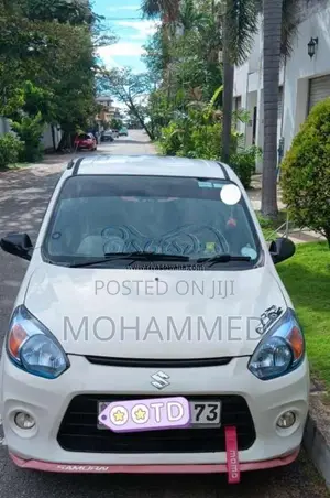 Suzuki Alto 2016 Car (Used)