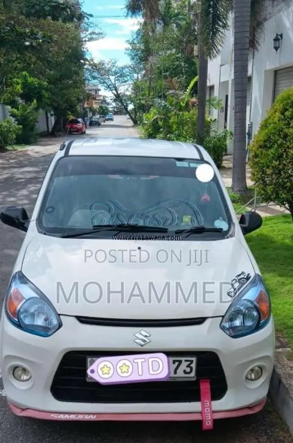 Suzuki Alto 2016 Car (Used)
