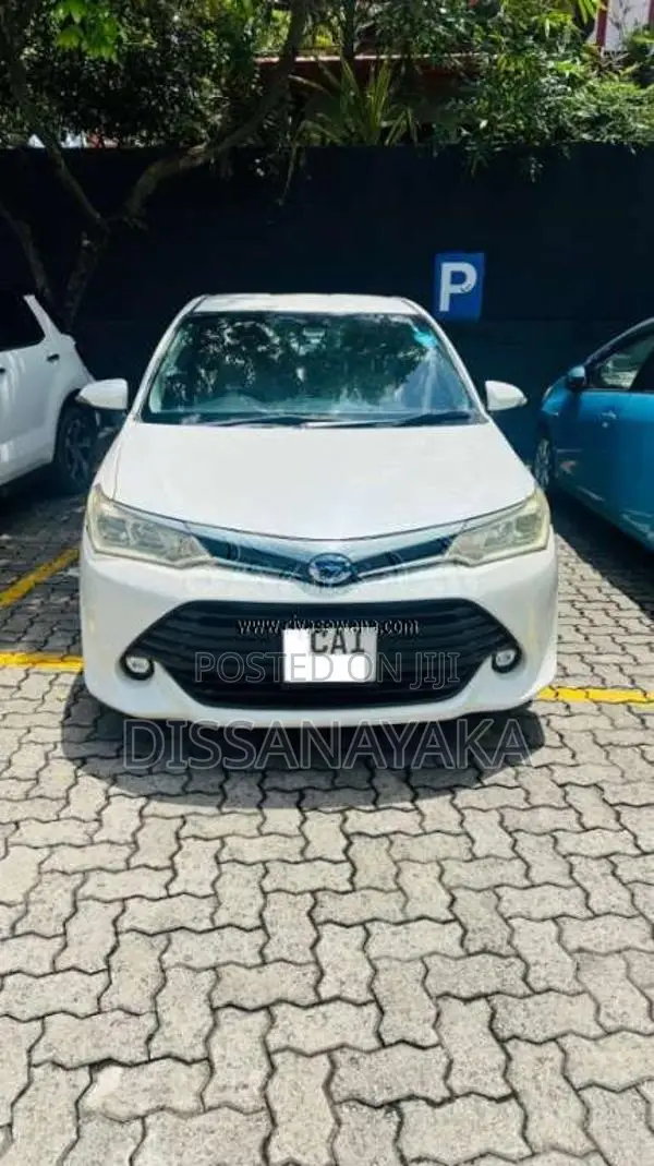 Toyota Axio 2015 Car (Used)