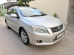 Toyota Axio 2010 Car (Used)