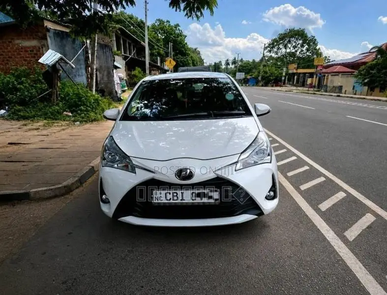 Toyota Vitz 2019 Car (Used)