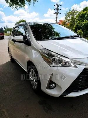 Toyota Vitz 2019 Car (Used)