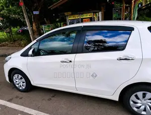 Toyota Vitz 2019 Car (Used)