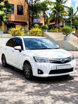 Toyota Axio 2013 Car (Used)
