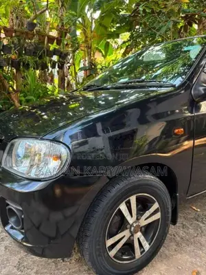 Suzuki Alto 2011 Car (Used)