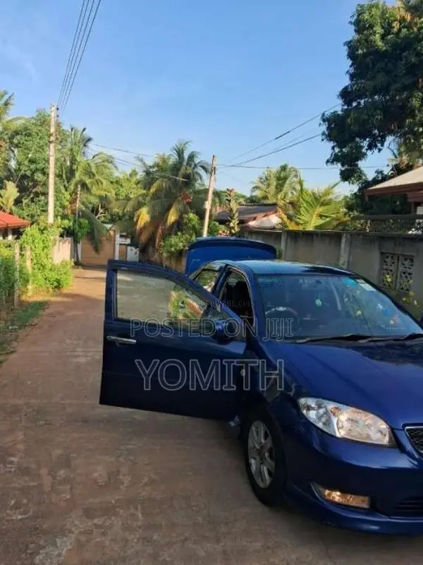 Toyota Vios 2005 Car (Used)