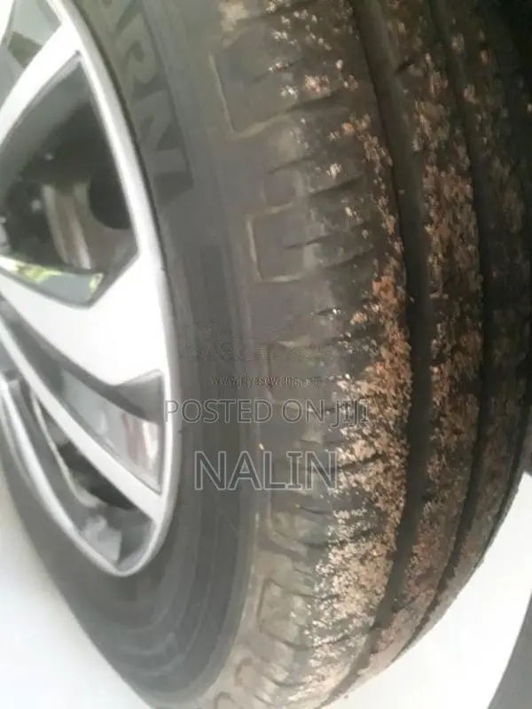 Suzuki Alto 2015 Car (Used)