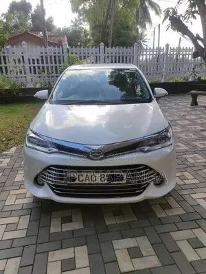 Toyota Axio 2016 Car (Used)