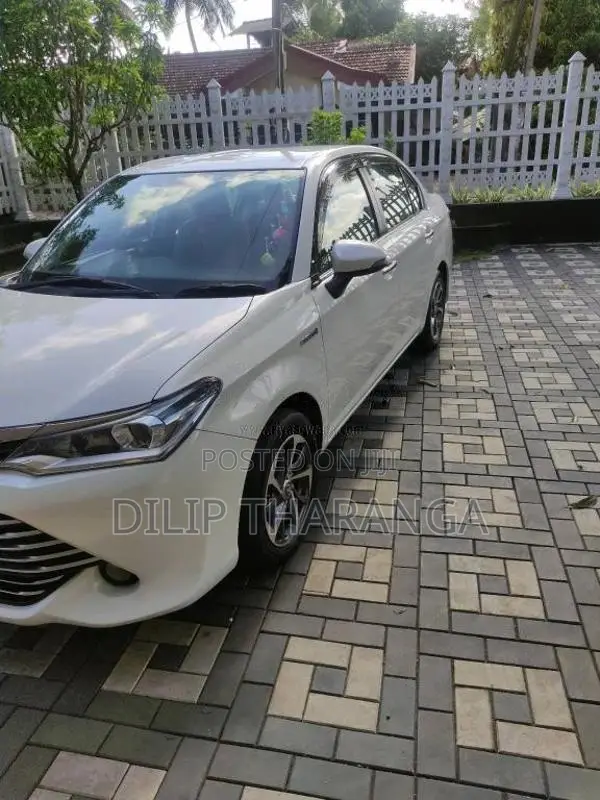 Toyota Axio 2016 Car (Used)