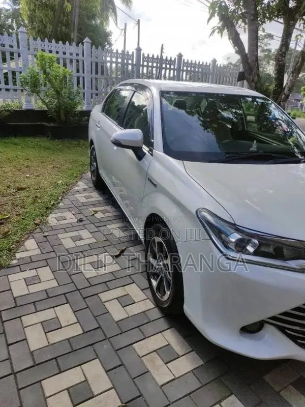 Toyota Axio 2016 Car (Used)