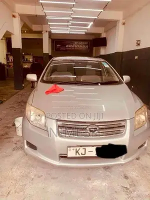 Toyota Axio 2007 Car (Used)