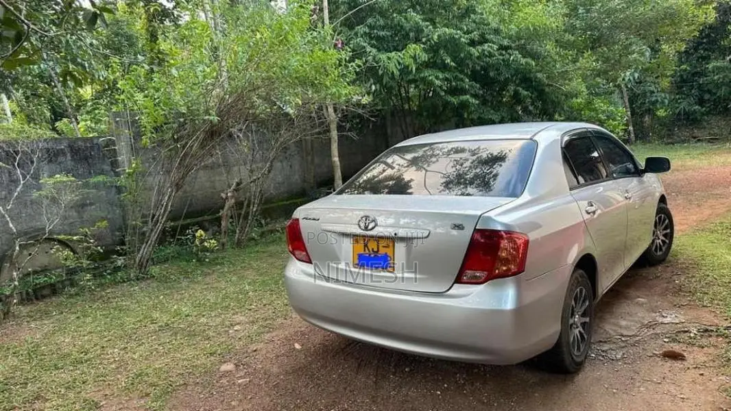 Toyota Axio 2007 Car (Used)