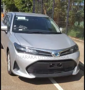 Toyota Axio Fielder 2024 Car (Used)