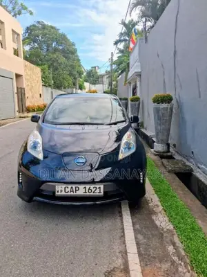 Nissan Leaf 2014 Car (Used)