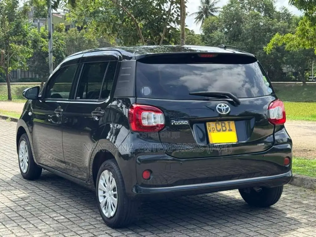 Toyota Passo SAFETY 2017 Car (Used)