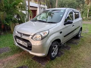 Suzuki Alto 2014 Car (Used)