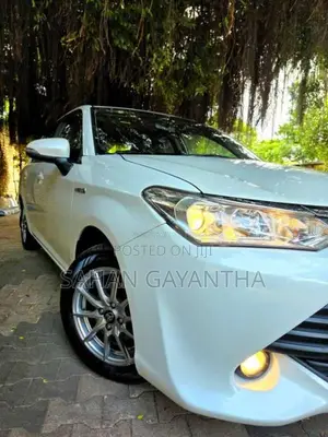 Toyota Axio 2015 Car (Used)