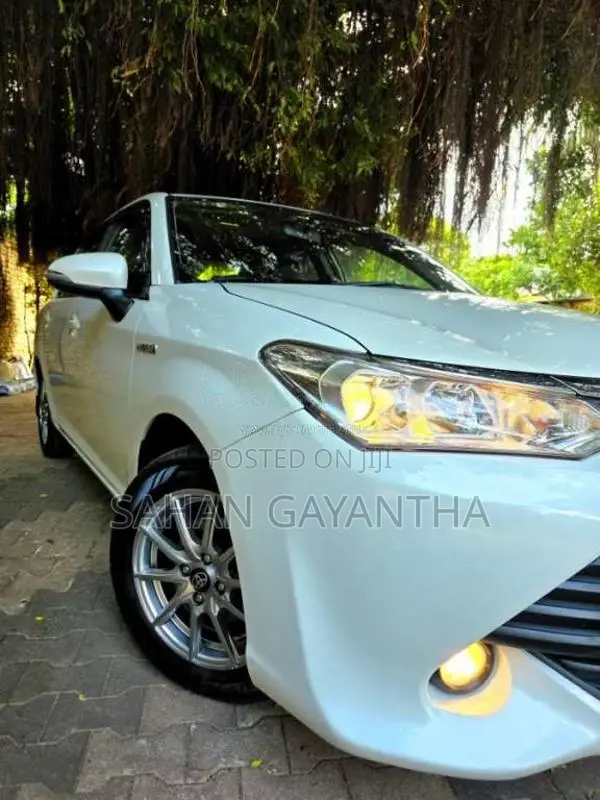 Toyota Axio 2015 Car (Used)