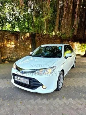 Toyota Axio 2015 Car (Used)