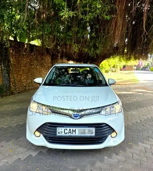 Toyota Axio 2015 Car (Used)