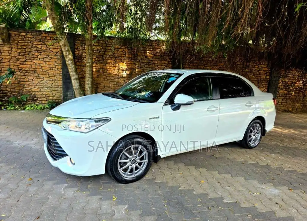 Toyota Axio 2015 Car (Used)