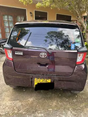 Toyota Pixis 2019 Car (Used)
