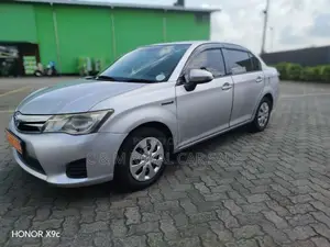Toyota AXIO 2014 Car (Used)