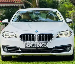 BMW 520D 2015 Car (Used)