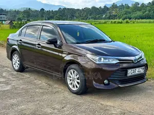 Toyota Axio G Grade 2015 Car (Used)