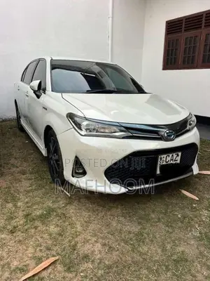 Toyota AXIO WXB 2018 Car (Used)