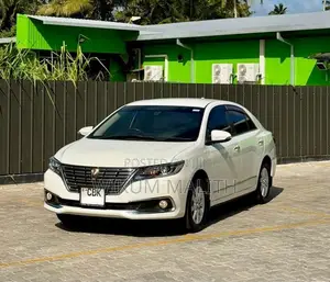 Toyota Premio NZT260 G Superior 2020 Car (Used)