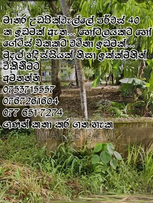 Land for Sale